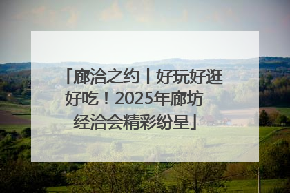 廊洽之约丨好玩好逛好吃！2025年廊坊经洽会精彩纷呈