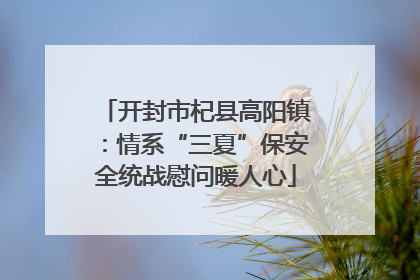 开封市杞县高阳镇：情系“三夏”保安全统战慰问暖人心