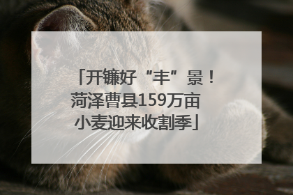 开镰好“丰”景！菏泽曹县159万亩小麦迎来收割季