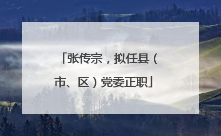 张传宗，拟任县（市、区）党委正职