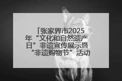 张家界市2025年“文化和自然遗产日”非遗宣传展示暨“非遗购物节”活动在慈利县盛大启幕