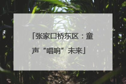 张家口桥东区：童声“唱响”未来
