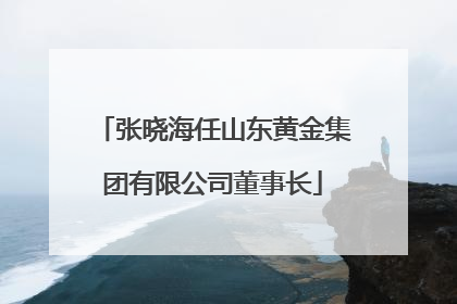 张晓海任山东黄金集团有限公司董事长