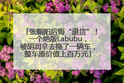 张朝阳后悔“退货”！一个绝版Labubu，被胡润拿去换了一辆车，整车原价值上百万元