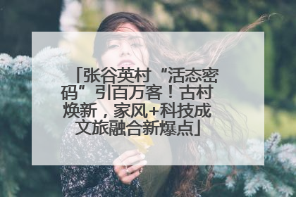 张谷英村“活态密码”引百万客！古村焕新，家风+科技成文旅融合新爆点
