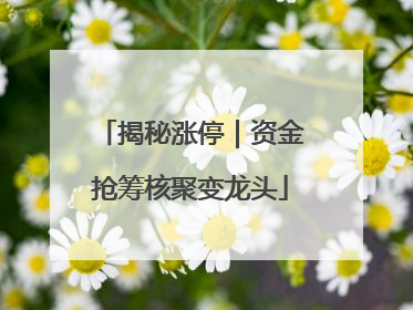 揭秘涨停｜资金抢筹核聚变龙头