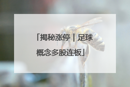 揭秘涨停｜足球概念多股连板