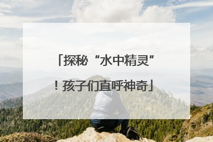 探秘“水中精灵”！孩子们直呼神奇