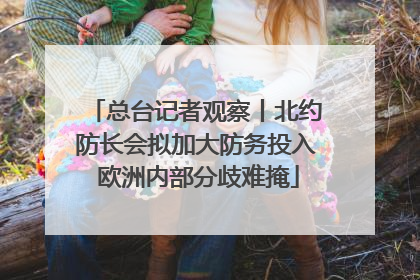 总台记者观察丨北约防长会拟加大防务投入 欧洲内部分歧难掩