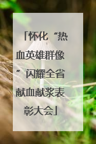 怀化“热血英雄群像”闪耀全省献血献浆表彰大会