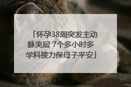 怀孕38周突发主动脉夹层 7个多小时多学科接力保母子平安