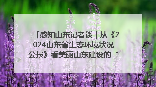 感知山东记者谈｜从《2024山东省生态环境状况公报》看美丽山东建设的“成绩单”与“任务书”