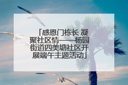 感恩门栋长 凝聚社区情——杨园街道四美塘社区开展端午主题活动