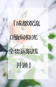 成都双流⇌缅甸仰光全货运航线开通