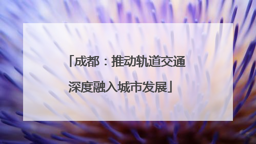 成都：推动轨道交通深度融入城市发展
