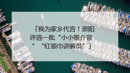 我为家乡代言！崇阳评选一批“小小推介官”“红领巾讲解员”