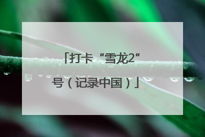 打卡“雪龙2”号（记录中国）