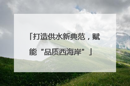 打造供水新典范，赋能“品质西海岸”