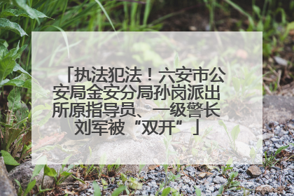 执法犯法！六安市公安局金安分局孙岗派出所原指导员、一级警长刘军被“双开”