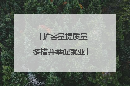 扩容量提质量 多措并举促就业