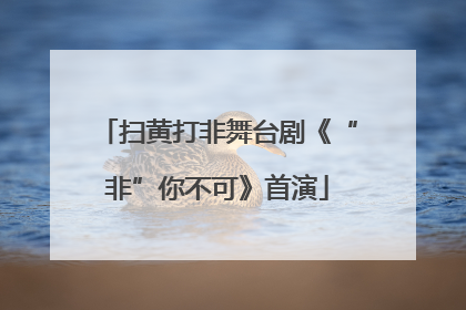 扫黄打非舞台剧《“非”你不可》首演