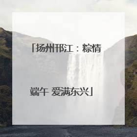 扬州邗江：粽情端午 爱满东兴