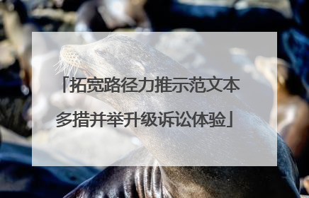 拓宽路径力推示范文本 多措并举升级诉讼体验