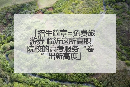 招生简章=免费旅游券 临沂这所高职院校的高考服务“卷”出新高度