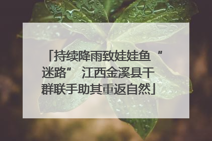持续降雨致娃娃鱼“迷路” 江西金溪县干群联手助其重返自然