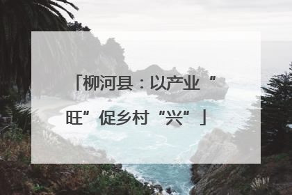 柳河县：以产业“旺”促乡村“兴”