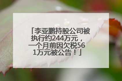 李亚鹏持股公司被执行约244万元，一个月前因欠税561万元被公告！