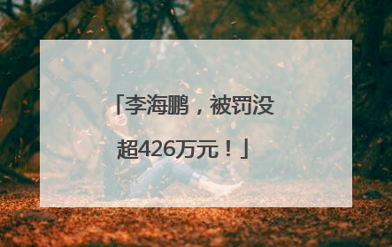 李海鹏，被罚没超426万元！