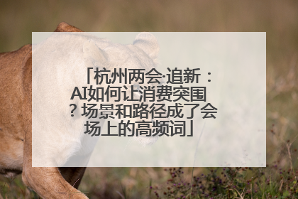 杭州两会·追新：AI如何让消费突围？场景和路径成了会场上的高频词