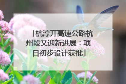 杭淳开高速公路杭州段又迎新进展：项目初步设计获批
