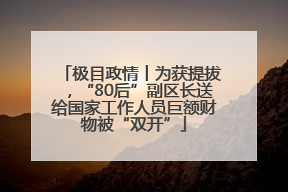 极目政情丨为获提拔，“80后”副区长送给国家工作人员巨额财物被“双开”