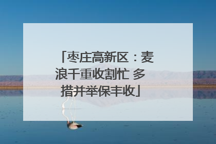 枣庄高新区：麦浪千重收割忙 多措并举保丰收