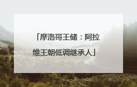 摩洛哥王储：阿拉维王朝低调继承人