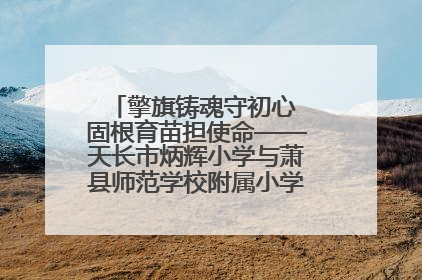 擎旗铸魂守初心 固根育苗担使命——天长市炳辉小学与萧县师范学校附属小学结对共建活动纪实