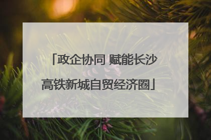 政企协同 赋能长沙高铁新城自贸经济圈