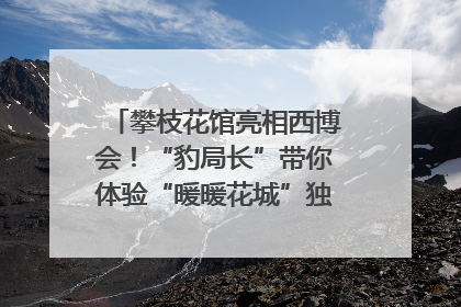 攀枝花馆亮相西博会！“豹局长”带你体验“暖暖花城”独特魅力｜西博视界
