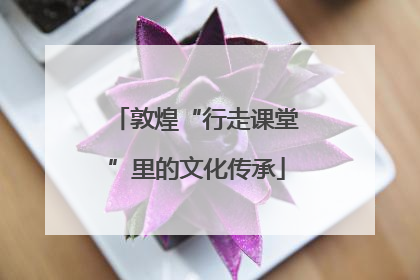 敦煌“行走课堂”里的文化传承