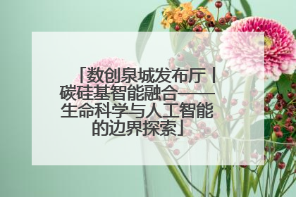 数创泉城发布厅丨碳硅基智能融合——生命科学与人工智能的边界探索