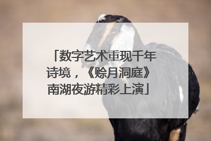 数字艺术重现千年诗境，《赊月洞庭》南湖夜游精彩上演