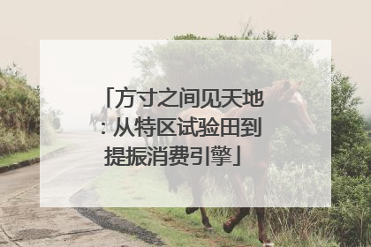 方寸之间见天地：从特区试验田到提振消费引擎