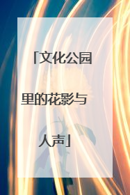 文化公园里的花影与人声