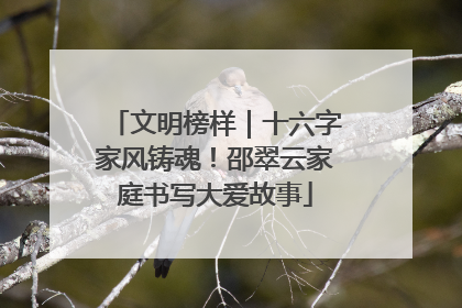 文明榜样｜十六字家风铸魂！邵翠云家庭书写大爱故事