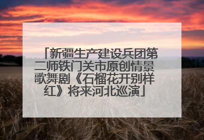 新疆生产建设兵团第二师铁门关市原创情景歌舞剧《石榴花开别样红》将来河北巡演