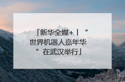 新华全媒+丨“世界机器人嘉年华”在武汉举行