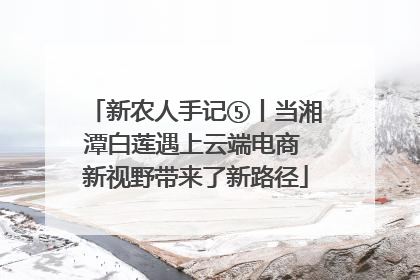 新农人手记⑤丨当湘潭白莲遇上云端电商 新视野带来了新路径
