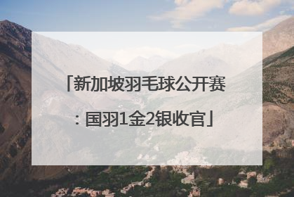 新加坡羽毛球公开赛：国羽1金2银收官